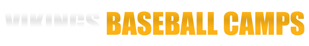 Force Baseball LLC