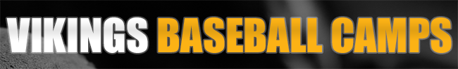 Force Baseball LLC